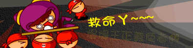 zz D
