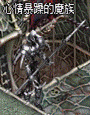 https://tw.beanfun.com/lineage/events/20110909_month/image/icons/01.jpg